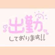 きらり 今月ラスト🌸 S級鑑定団
