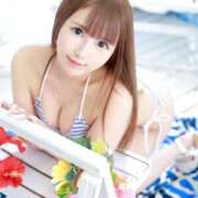 ヒメ日記 2025/07/17 07:34 投稿 ちり チューリップ福井本館