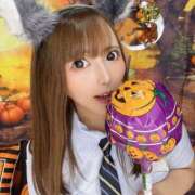 ヒメ日記 2025/07/18 07:24 投稿 ちり チューリップ福井本館