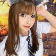 ヒメ日記 2025/11/01 01:33 投稿 ちり チューリップ福井本館