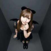 ヒメ日記 2025/11/11 11:46 投稿 ちり チューリップ福井本館