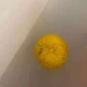 ヒメ日記 2025/11/18 02:54 投稿 ちり チューリップ福井本館