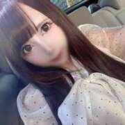 ヒメ日記 2025/11/19 08:24 投稿 ちり チューリップ福井本館