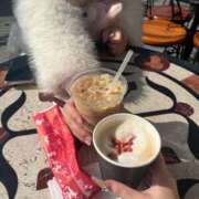 ヒメ日記 2026/03/27 02:59 投稿 うい しごくなエステ