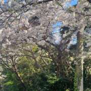 うい います♡ しごくなエステ