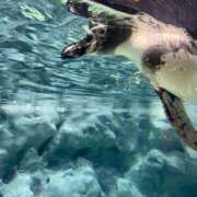 ヒメ日記 2025/07/07 19:54 投稿 ゆな Candy×Candy （キャンディ×キャンディ）