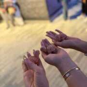 桜【サクラ】 万博編第2弾🤩🤩🤩 Evolution1st キタ兎我野店