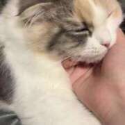 ヒメ日記 2025/07/06 07:24 投稿 しえる♡Ⅰカップ・美巨乳♡ 即生専門店ゴッドパイ