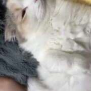 ヒメ日記 2025/07/27 22:59 投稿 しえる♡Ⅰカップ・美巨乳♡ 即生専門店ゴッドパイ