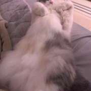 ヒメ日記 2025/09/08 05:06 投稿 しえる♡Ⅰカップ・美巨乳♡ 即生専門店ゴッドパイ