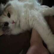 ヒメ日記 2025/11/06 15:24 投稿 しえる♡Ⅰカップ・美巨乳♡ 即生専門店ゴッドパイ