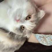 ヒメ日記 2025/12/22 06:04 投稿 しえる♡Ⅰカップ・美巨乳♡ 即生専門店ゴッドパイ