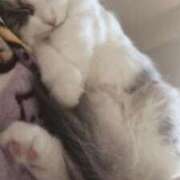 ヒメ日記 2026/02/01 05:44 投稿 しえる♡Ⅰカップ・美巨乳♡ 即生専門店ゴッドパイ