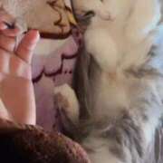 ヒメ日記 2026/02/19 09:34 投稿 しえる♡Ⅰカップ・美巨乳♡ 即生専門店ゴッドパイ