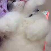 ヒメ日記 2026/02/23 13:14 投稿 しえる♡Ⅰカップ・美巨乳♡ 即生専門店ゴッドパイ