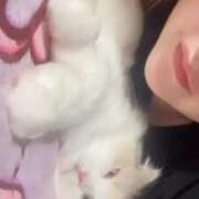 しえる♡Ⅰカップ・美巨乳♡ 今日も待ってます🧡 即生専門店ゴッドパイ