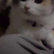 ヒメ日記 2026/03/24 04:34 投稿 しえる♡Ⅰカップ・美巨乳♡ 即生専門店ゴッドパイ