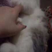 ヒメ日記 2026/04/02 05:44 投稿 しえる♡Ⅰカップ・美巨乳♡ 即生専門店ゴッドパイ