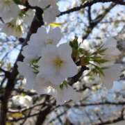 ヒメ日記 2026/04/02 13:15 投稿 しえる♡Ⅰカップ・美巨乳♡ 即生専門店ゴッドパイ