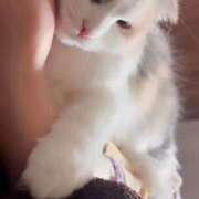 ヒメ日記 2026/04/16 05:44 投稿 しえる♡Ⅰカップ・美巨乳♡ 即生専門店ゴッドパイ