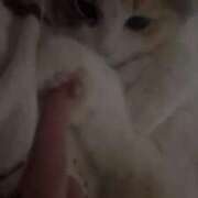 ヒメ日記 2026/06/11 14:14 投稿 しえる♡Ⅰカップ・美巨乳♡ 即生専門店ゴッドパイ