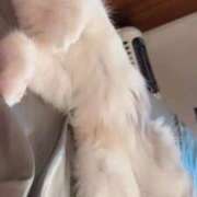ヒメ日記 2026/09/18 13:48 投稿 しえる♡Ⅰカップ・美巨乳♡ 即生専門店ゴッドパイ