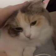 ヒメ日記 2026/10/09 06:04 投稿 しえる♡Ⅰカップ・美巨乳♡ 即生専門店ゴッドパイ