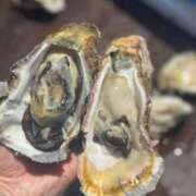 ヒメ日記 2025/06/28 12:30 投稿 『あんり』 ESSENCE