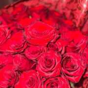 ヒメ日記 2025/10/11 18:00 投稿 『あんり』 ESSENCE