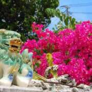 ヒメ日記 2025/10/21 15:47 投稿 『あんり』 ESSENCE