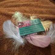 ヒメ日記 2025/11/16 23:24 投稿 『あんり』 ESSENCE