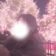 『あんり』 🐾🎄🐾 ESSENCE