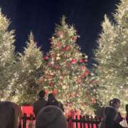 ヒメ日記 2025/12/17 16:25 投稿 『あんり』 ESSENCE