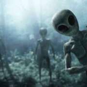 ヒメ日記 2026/01/28 20:40 投稿 『あんり』 ESSENCE