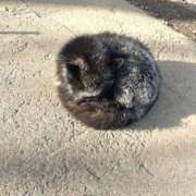 ヒメ日記 2026/02/16 22:51 投稿 『あんり』 ESSENCE