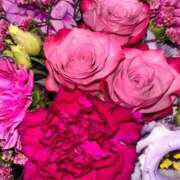 ヒメ日記 2026/10/11 15:39 投稿 『あんり』 ESSENCE