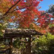 稲垣かなえ 稲垣かなえです Club Shangrila（クラブシャングリラ）