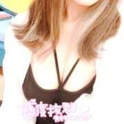 ヒメ日記 2025/11/03 09:12 投稿 はく 鎌倉御殿 新館