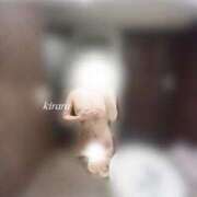 ヒメ日記 2025/11/24 11:28 投稿 ◆きらら◆ 広島超性感マッサージ倶楽部 マル秘世界