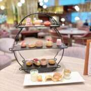 ヒメ日記 2025/07/14 12:16 投稿 ウミ マテリアル