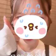 ヒメ日記 2025/10/20 12:46 投稿 ウミ マテリアル