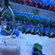 ヒメ日記 2025/08/25 08:39 投稿 さやか 多治見・土岐・春日井ちゃんこ