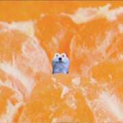 ヒメ日記 2025/09/03 11:36 投稿 さやか 多治見・土岐・春日井ちゃんこ