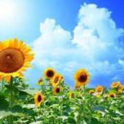 ヒメ日記 2025/07/18 09:03 投稿 のぞみ 五反田・品川おかあさん