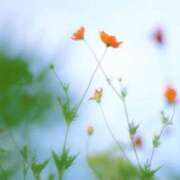 ヒメ日記 2025/08/16 09:25 投稿 のぞみ 五反田・品川おかあさん