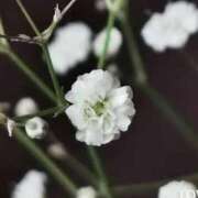 ヒメ日記 2025/10/28 16:13 投稿 のぞみ 五反田・品川おかあさん