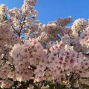 ヒメ日記 2025/07/15 21:10 投稿 愛の女神【アイノメガミ】 LOVEキタ兎我野店