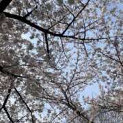 ヒメ日記 2025/08/15 17:58 投稿 愛の女神【アイノメガミ】 LOVEキタ兎我野店