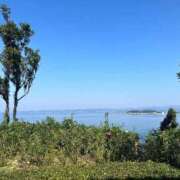 ヒメ日記 2025/11/21 12:03 投稿 愛の女神【アイノメガミ】 LOVEキタ兎我野店