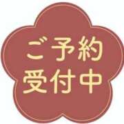 ヒメ日記 2025/11/17 13:45 投稿 のぞみ 横浜おかあさん